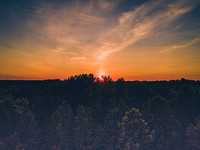 DJI_0334